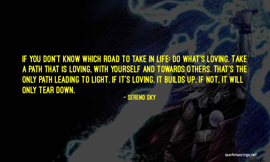 The Road You Take Quotes By Sereno Sky