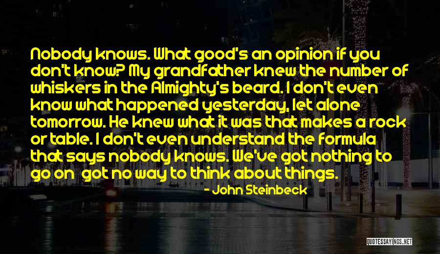 The Rock Says Quotes By John Steinbeck