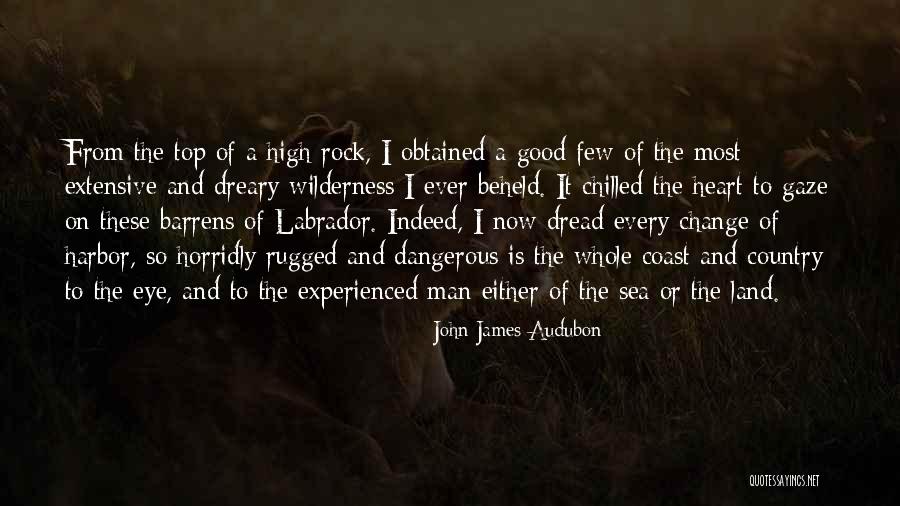 The Rock Top Quotes By John James Audubon The Rock Top Quotes By John James Audubon