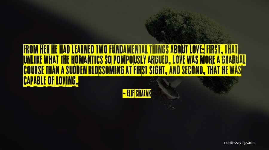 The Romantics Quotes By Elif Shafak The Romantics Quotes By Elif Shafak