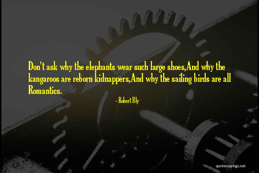 The Romantics Quotes By Robert Bly The Romantics Quotes By Robert Bly