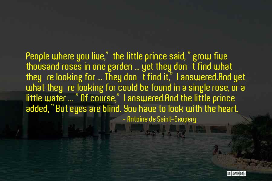 The Rose In The Little Prince Quotes By Antoine De Saint-Exupery The Rose In The Little Prince Quotes By Antoine De Saint-Exupery