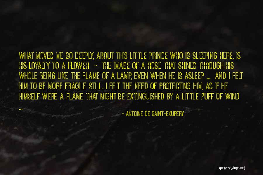 The Rose In The Little Prince Quotes By Antoine De Saint-Exupery The Rose In The Little Prince Quotes By Antoine De Saint-Exupery
