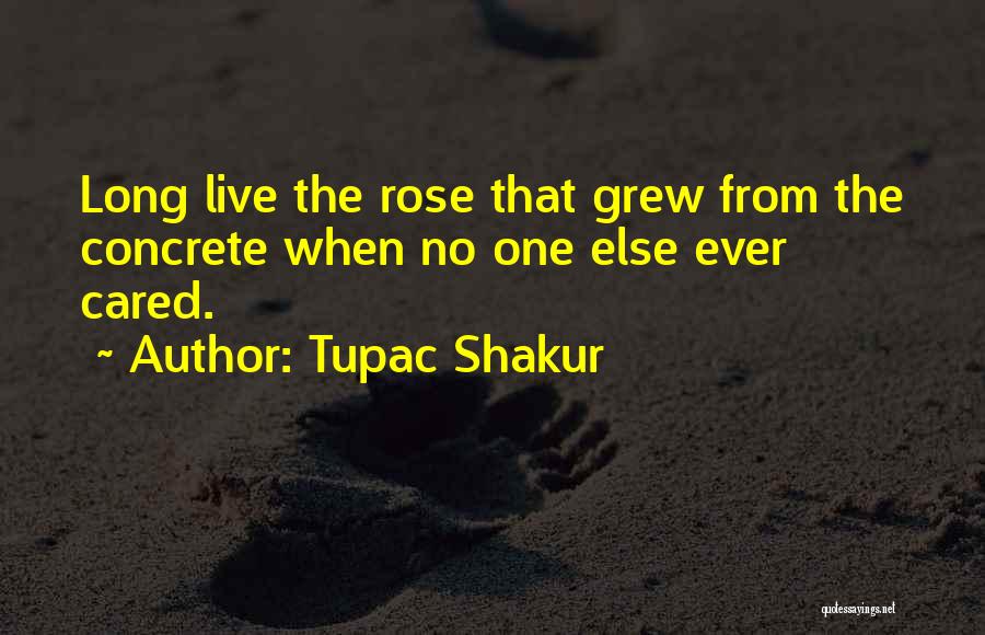 The Rose That Grew From The Concrete Quotes By Tupac Shakur