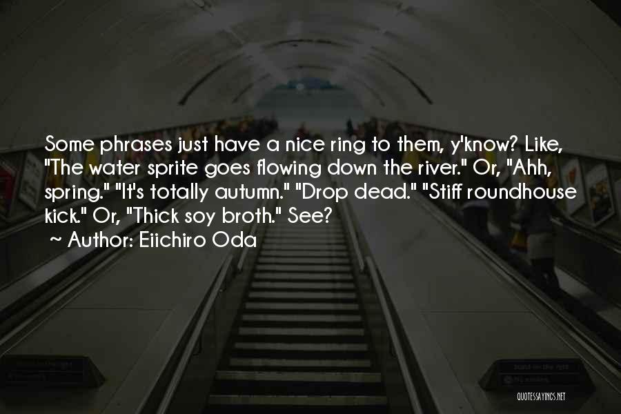 The Roundhouse Quotes By Eiichiro Oda