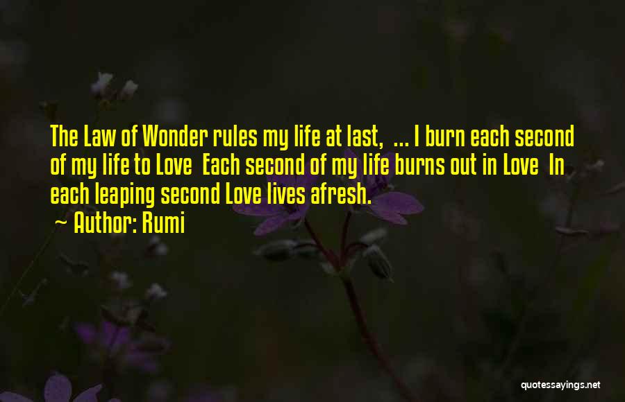 The Rules Of Love Quotes By Rumi