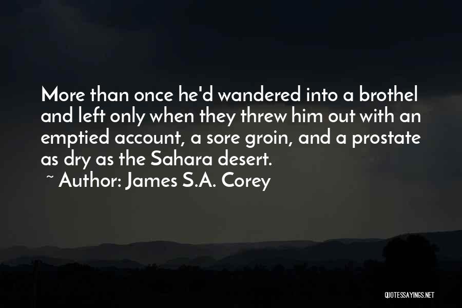 The Sahara Desert Quotes By James S.A. Corey
