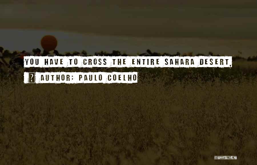 The Sahara Desert Quotes By Paulo Coelho
