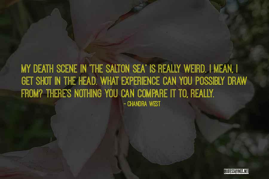 The Salton Sea Quotes By Chandra West