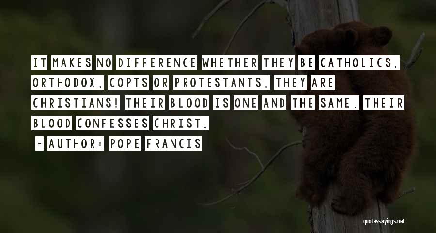 The Same Blood Quotes By Pope Francis