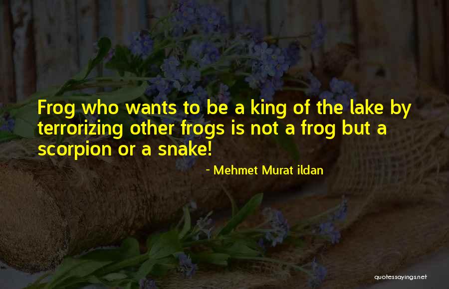 The Scorpion And The Frog Quotes By Mehmet Murat Ildan The Scorpion And The Frog Quotes By Mehmet Murat Ildan