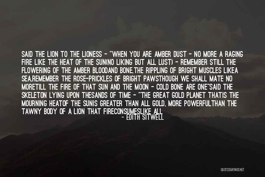 The Sea And Sun Quotes By Edith Sitwell The Sea And Sun Quotes By Edith Sitwell