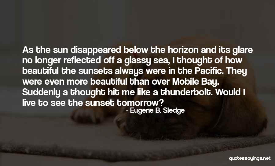 The Sea And Sun Quotes By Eugene B. Sledge