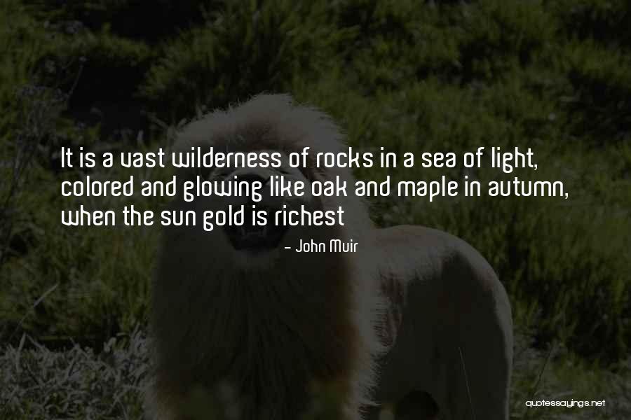 The Sea And Sun Quotes By John Muir The Sea And Sun Quotes By John Muir