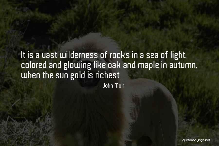 The Sea And Sun Quotes By John Muir