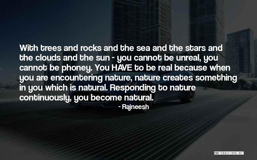 The Sea And Sun Quotes By Rajneesh The Sea And Sun Quotes By Rajneesh