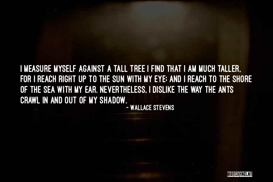 The Sea And Sun Quotes By Wallace Stevens The Sea And Sun Quotes By Wallace Stevens
