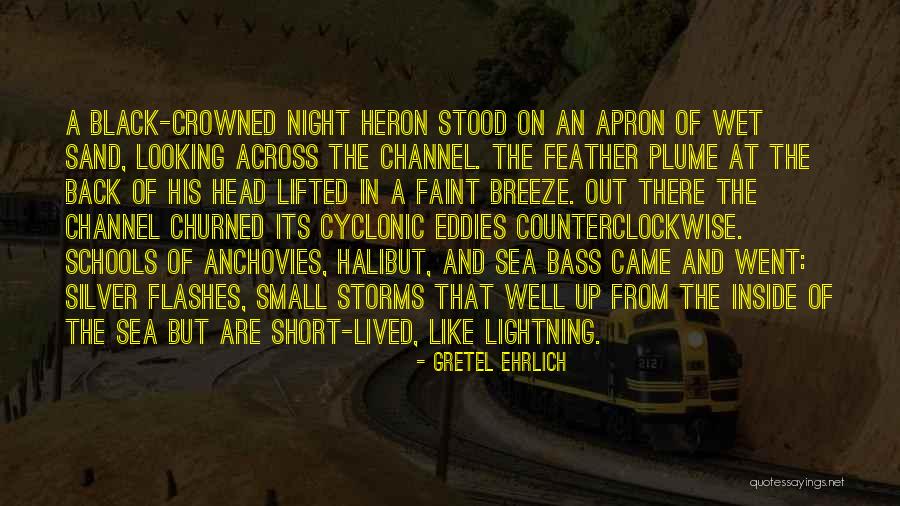 The Sea At Night Quotes By Gretel Ehrlich The Sea At Night Quotes By Gretel Ehrlich