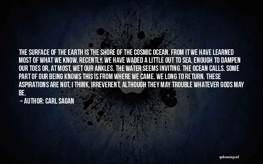 The Sea Or Ocean Quotes By Carl Sagan