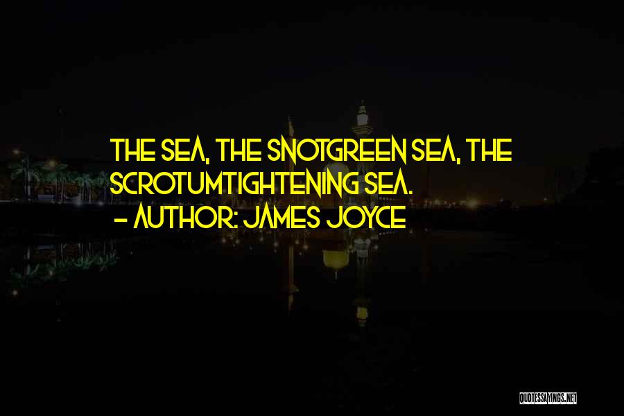 The Sea The Sea Quotes By James Joyce