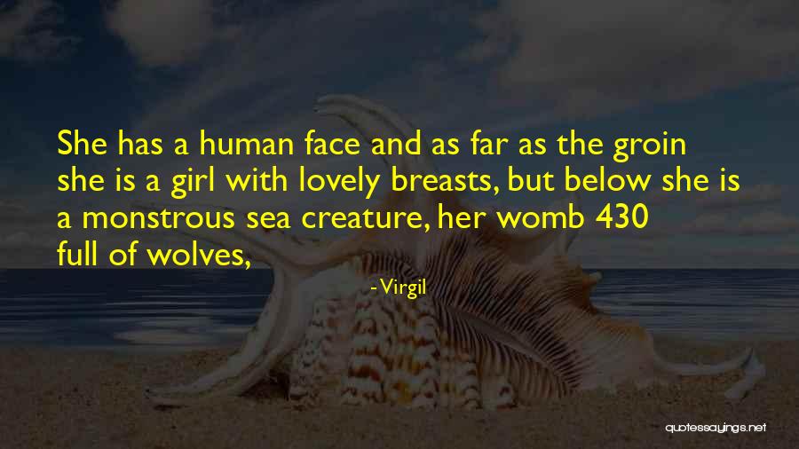 The Sea Wolves Quotes By Virgil