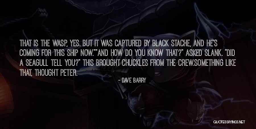 The Seagull Quotes By Dave Barry The Seagull Quotes By Dave Barry