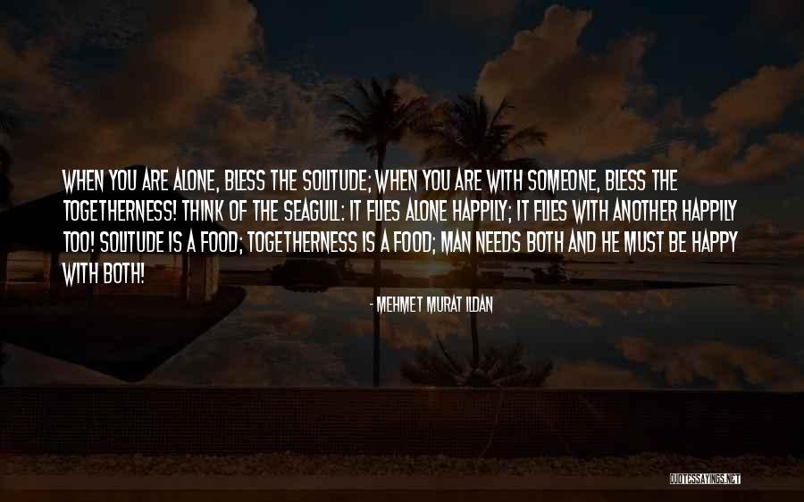 The Seagull Quotes By Mehmet Murat Ildan The Seagull Quotes By Mehmet Murat Ildan