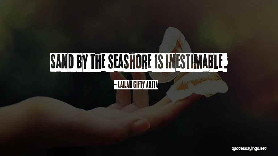 The Seashore Quotes By Lailah Gifty Akita