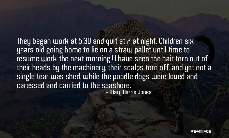The Seashore Quotes By Mary Harris Jones The Seashore Quotes By Mary Harris Jones