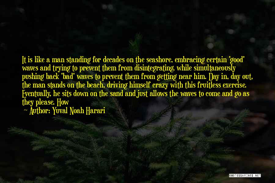 The Seashore Quotes By Yuval Noah Harari