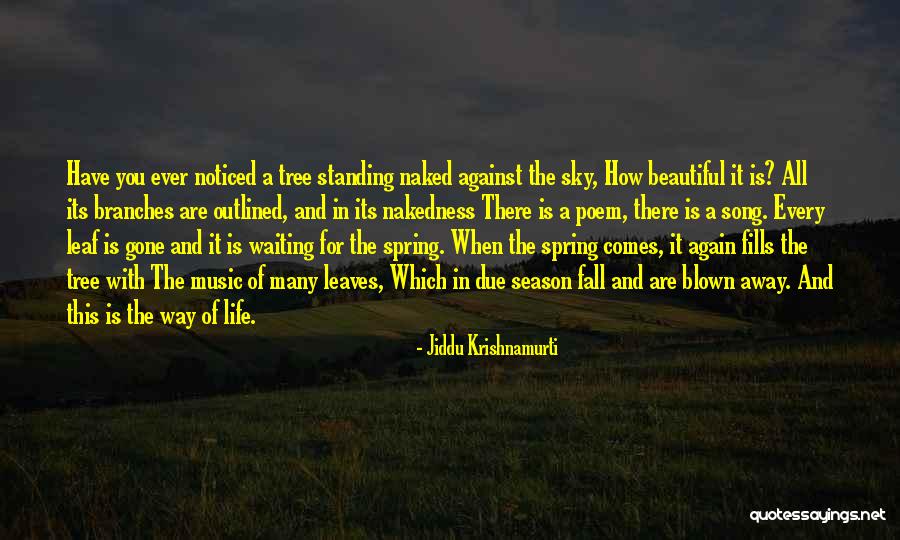 The Season Fall Quotes By Jiddu Krishnamurti