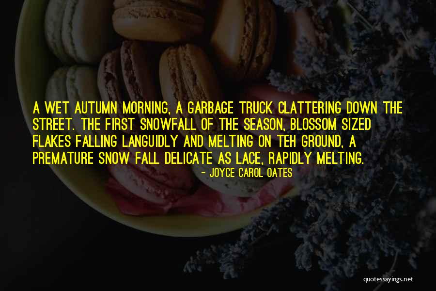 The Season Fall Quotes By Joyce Carol Oates