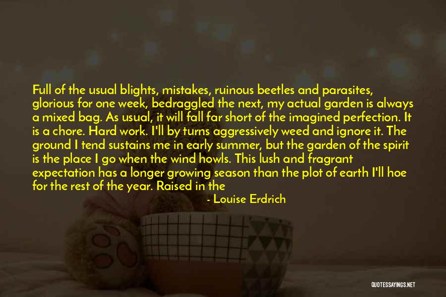 The Season Fall Quotes By Louise Erdrich