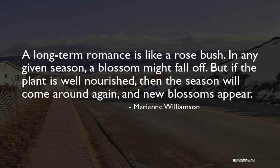 The Season Fall Quotes By Marianne Williamson