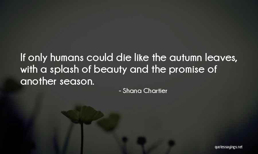 The Season Fall Quotes By Shana Chartier The Season Fall Quotes By Shana Chartier