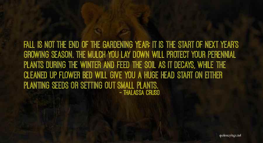 The Season Fall Quotes By Thalassa Cruso The Season Fall Quotes By Thalassa Cruso