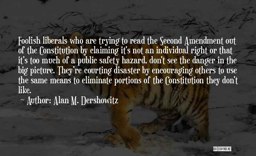 The Second Amendment Quotes By Alan M. Dershowitz