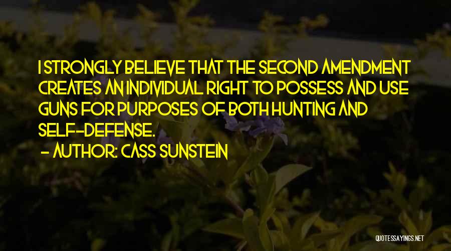The Second Amendment Quotes By Cass Sunstein