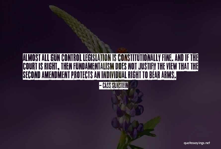 The Second Amendment Quotes By Cass Sunstein