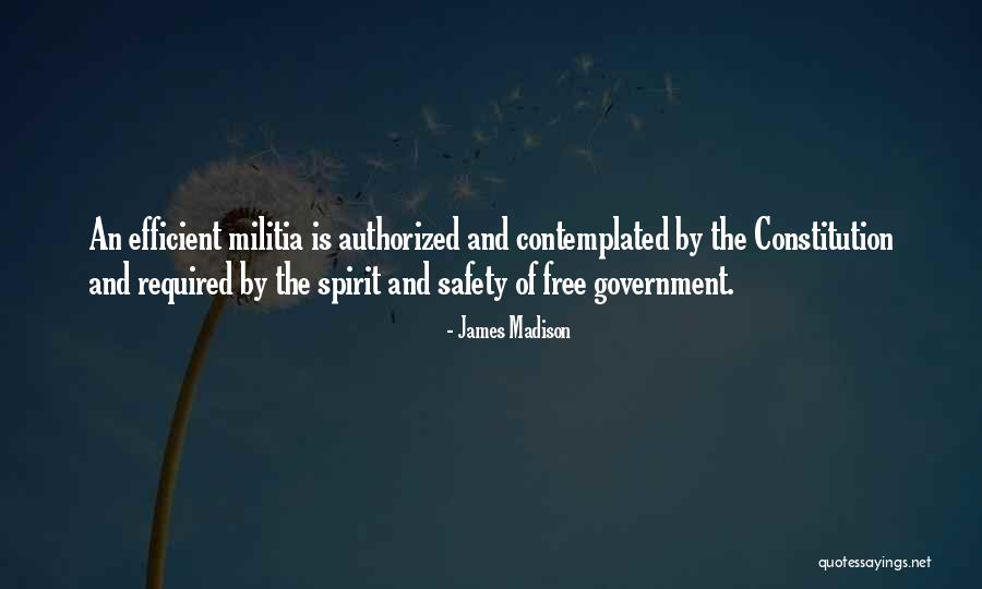 The Second Amendment Quotes By James Madison