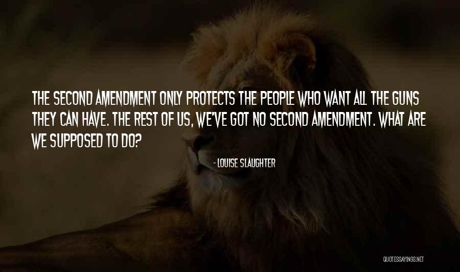 The Second Amendment Quotes By Louise Slaughter