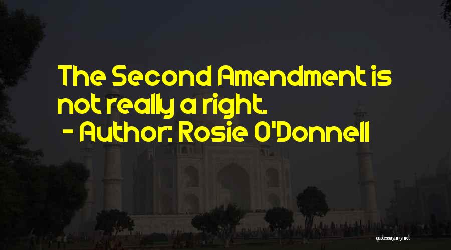 The Second Amendment Quotes By Rosie O'Donnell