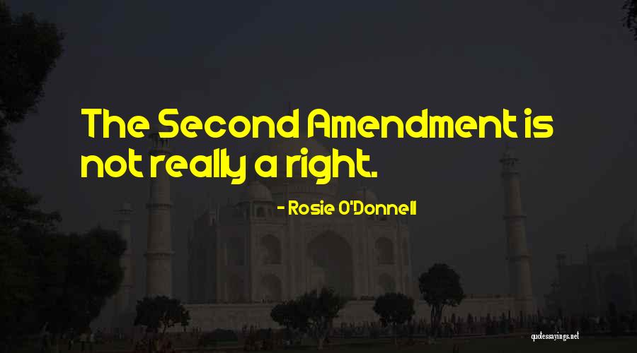 The Second Amendment Quotes By Rosie O'Donnell