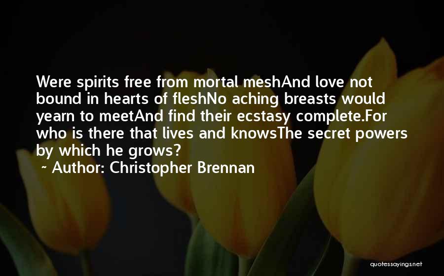 The Secret Famous Quotes By Christopher Brennan