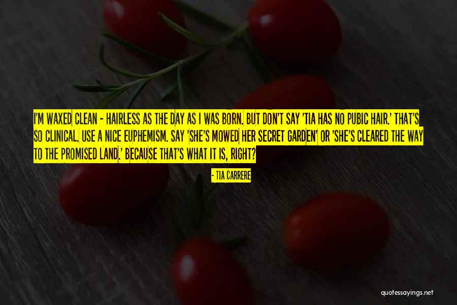 The Secret Garden Quotes By Tia Carrere The Secret Garden Quotes By Tia Carrere