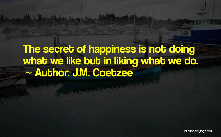 The Secret Happiness Quotes By J.M. Coetzee