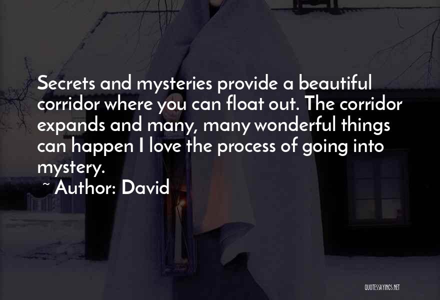 The Secret Love Quotes By David