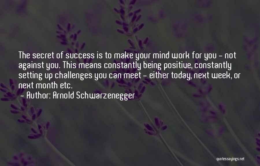 The Secret Of Success Quotes By Arnold Schwarzenegger
