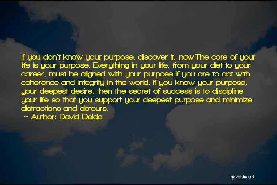 The Secret Of Success Quotes By David Deida