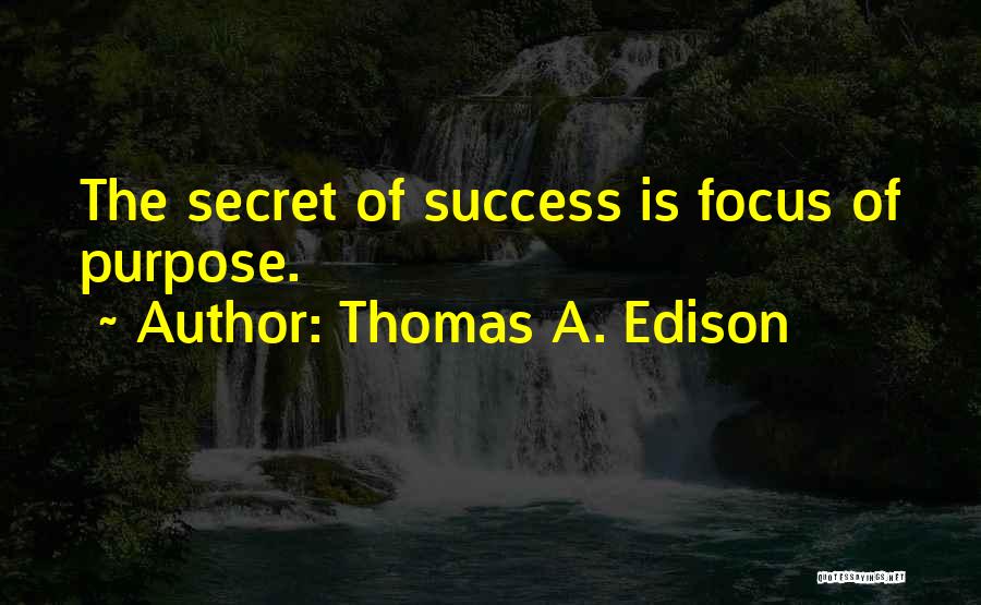 The Secret Of Success Quotes By Thomas A. Edison